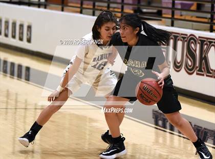 Thumbnail 3 in Basha @ Hamilton photogallery.