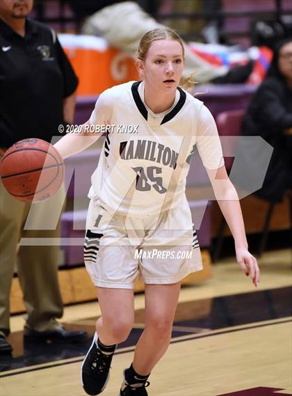 Thumbnail 1 in Basha @ Hamilton photogallery.