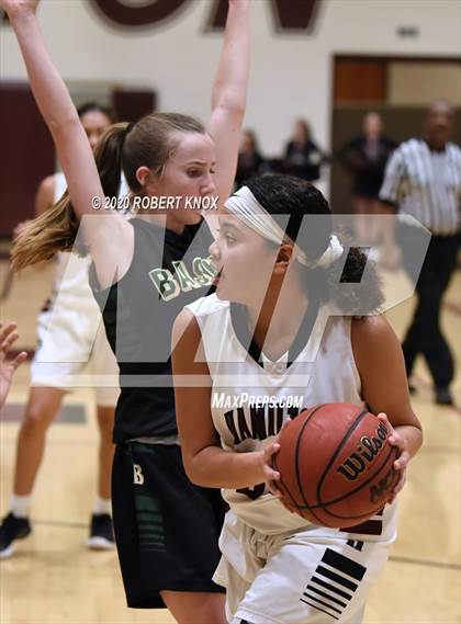 Thumbnail 2 in Basha @ Hamilton photogallery.