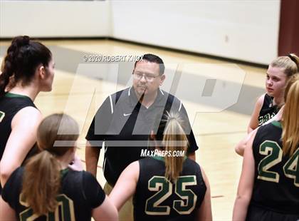 Thumbnail 1 in Basha @ Hamilton photogallery.