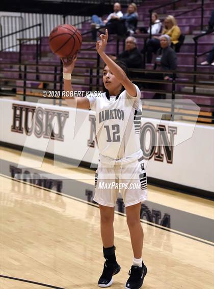 Thumbnail 2 in Basha @ Hamilton photogallery.