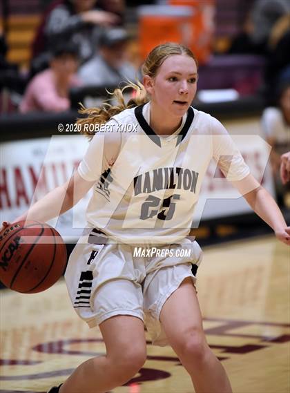Thumbnail 2 in Basha @ Hamilton photogallery.