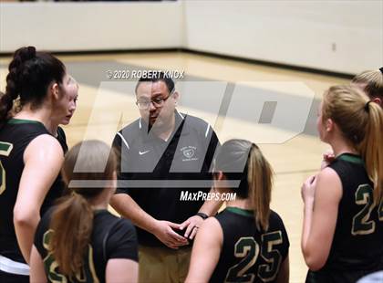 Thumbnail 2 in Basha @ Hamilton photogallery.