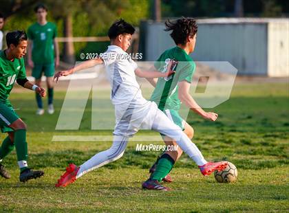 Thumbnail 3 in Sotomayor vs Eagle Rock photogallery.
