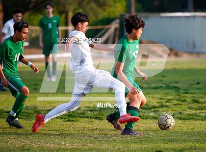 Thumbnail 2 in Sotomayor vs Eagle Rock photogallery.