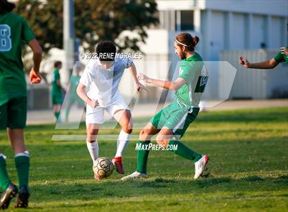 Thumbnail 3 in Sotomayor vs Eagle Rock photogallery.