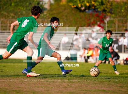 Thumbnail 3 in Sotomayor vs Eagle Rock photogallery.