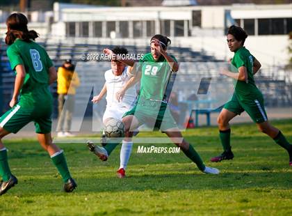 Thumbnail 1 in Sotomayor vs Eagle Rock photogallery.