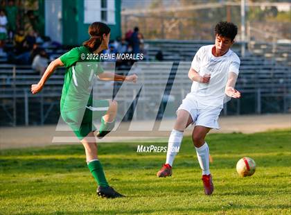 Thumbnail 1 in Sotomayor vs Eagle Rock photogallery.