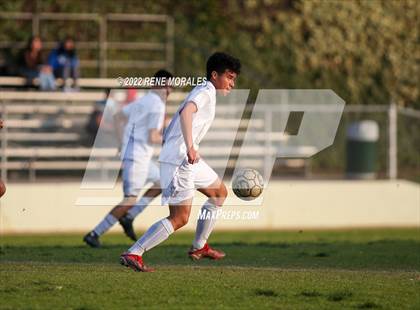 Thumbnail 1 in Sotomayor vs Eagle Rock photogallery.
