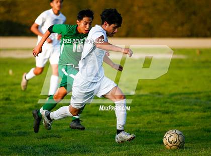 Thumbnail 3 in Sotomayor vs Eagle Rock photogallery.