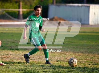 Thumbnail 1 in Sotomayor vs Eagle Rock photogallery.
