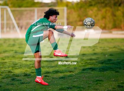 Thumbnail 1 in Sotomayor vs Eagle Rock photogallery.
