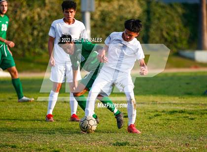 Thumbnail 3 in Sotomayor vs Eagle Rock photogallery.
