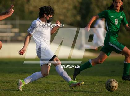 Thumbnail 1 in Sotomayor vs Eagle Rock photogallery.