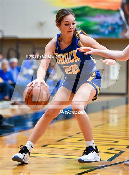 Thumbnail 2 in Brock @ Lipan photogallery.