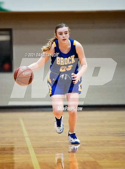 Thumbnail 1 in Brock @ Lipan photogallery.