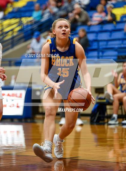 Thumbnail 1 in Brock @ Lipan photogallery.