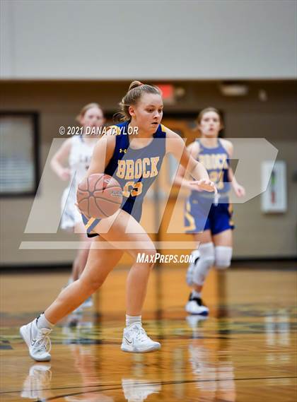 Thumbnail 1 in Brock @ Lipan photogallery.