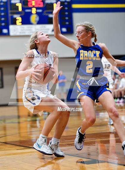 Thumbnail 3 in Brock @ Lipan photogallery.