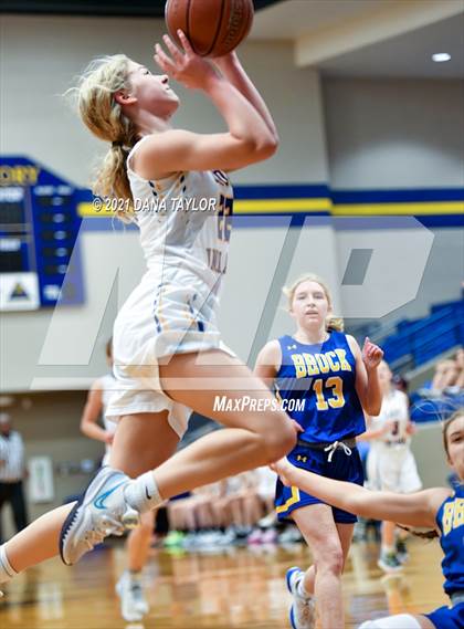 Thumbnail 3 in Brock @ Lipan photogallery.