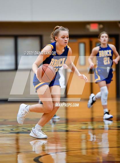 Thumbnail 3 in Brock @ Lipan photogallery.