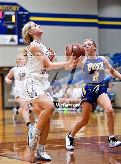 Thumbnail 1 in Brock @ Lipan photogallery.
