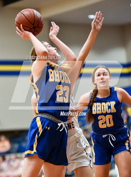 Thumbnail 1 in Brock @ Lipan photogallery.