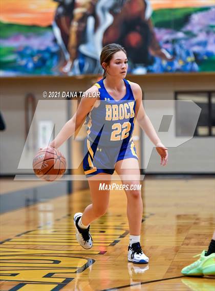 Thumbnail 1 in Brock @ Lipan photogallery.