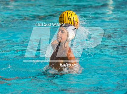 Thumbnail 2 in FR: El Dorado @ Foothill photogallery.