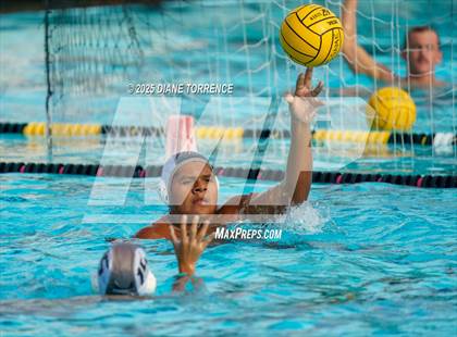 Thumbnail 3 in FR: El Dorado @ Foothill photogallery.