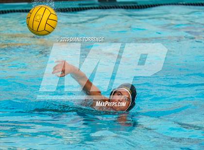 Thumbnail 2 in FR: El Dorado @ Foothill photogallery.
