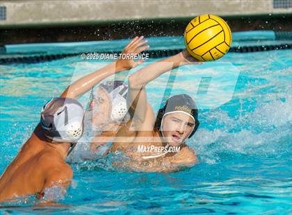 Thumbnail 1 in FR: El Dorado @ Foothill photogallery.