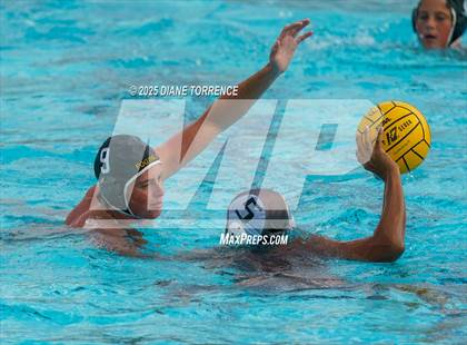 Thumbnail 2 in FR: El Dorado @ Foothill photogallery.