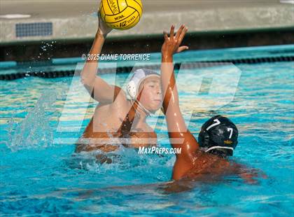 Thumbnail 1 in FR: El Dorado @ Foothill photogallery.