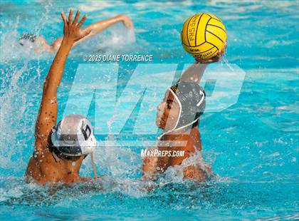 Thumbnail 3 in FR: El Dorado @ Foothill photogallery.