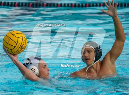Thumbnail 3 in FR: El Dorado @ Foothill photogallery.