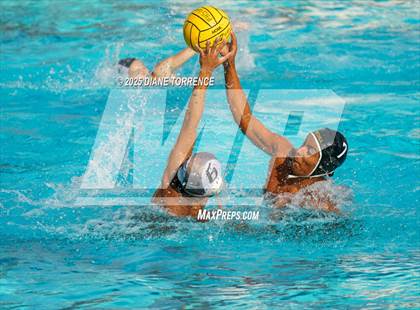 Thumbnail 2 in FR: El Dorado @ Foothill photogallery.