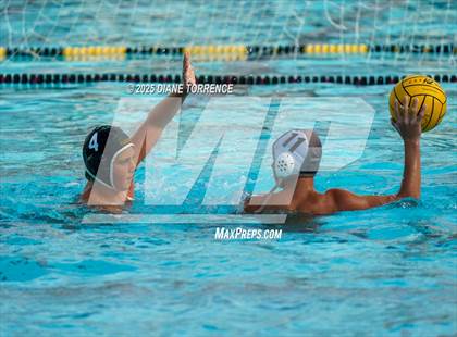 Thumbnail 2 in FR: El Dorado @ Foothill photogallery.