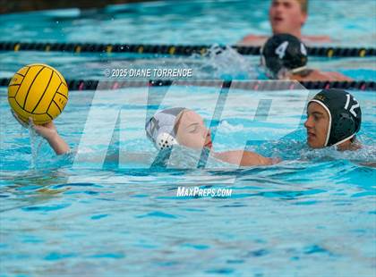 Thumbnail 3 in FR: El Dorado @ Foothill photogallery.