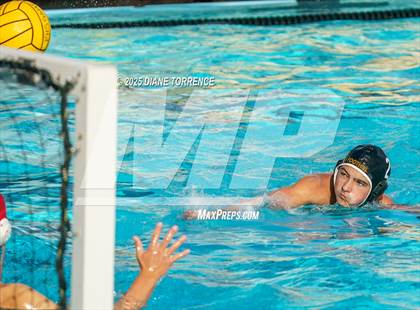 Thumbnail 2 in FR: El Dorado @ Foothill photogallery.