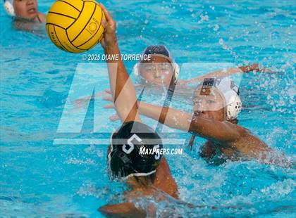 Thumbnail 3 in FR: El Dorado @ Foothill photogallery.