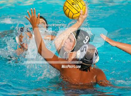 Thumbnail 2 in FR: El Dorado @ Foothill photogallery.