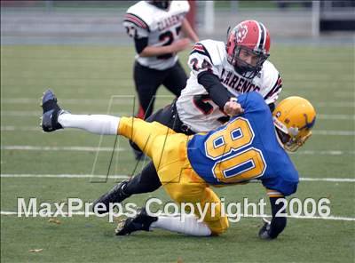 null - Photo 11