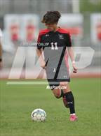 Photo from the gallery "Timpanogos @ Alta"