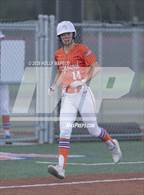 Photo from the gallery "Jasper @ Orange Beach"