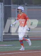 Photo from the gallery "Jasper @ Orange Beach"