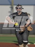 Photo from the gallery "Jasper @ Orange Beach"