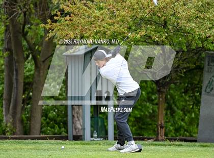 Thumbnail 2 in Delaware County Tournament photogallery.
