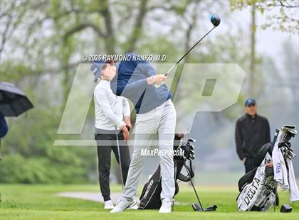 Thumbnail 2 in Delaware County Tournament photogallery.